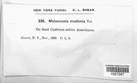 Image Associated With the Occurence